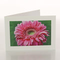 Gift wrap image