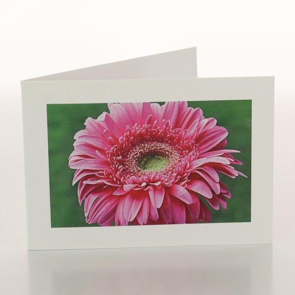 Gift wrap image