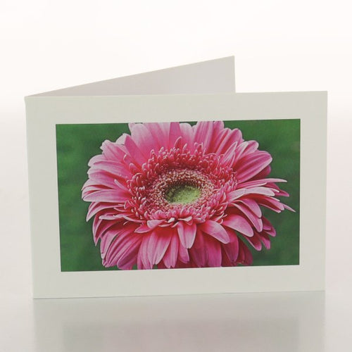 Gift wrap image